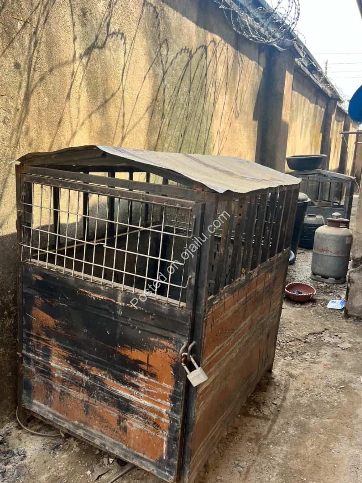 Powerhouse: Neatly Used Generator House