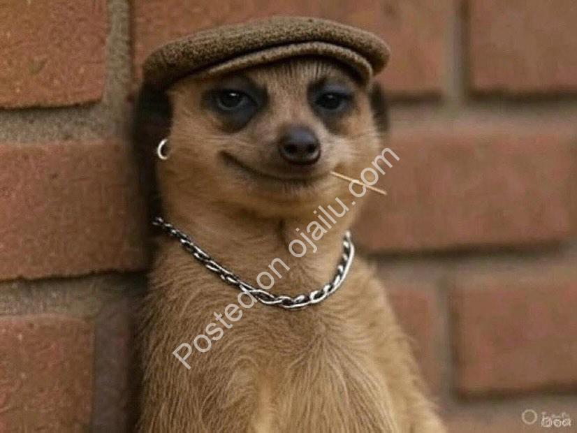 From Bush to Boom: Your 2.5M Naira Opportunity