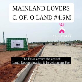 3866393173929239233_img_0