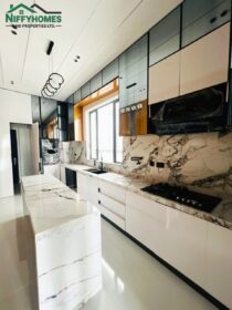 3875011066945793339_img_2