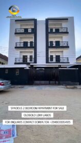 3875262420361229640_preview