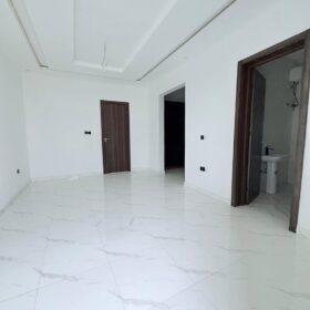 3875813895235807625_img_3