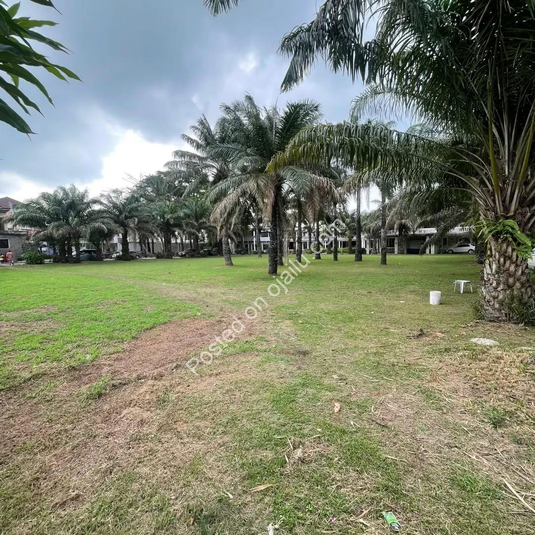 Prime 15 Plots in Ikate Lekki: Your Coastal Road Opportunity