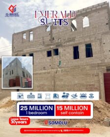 3876476155167779127_img_0