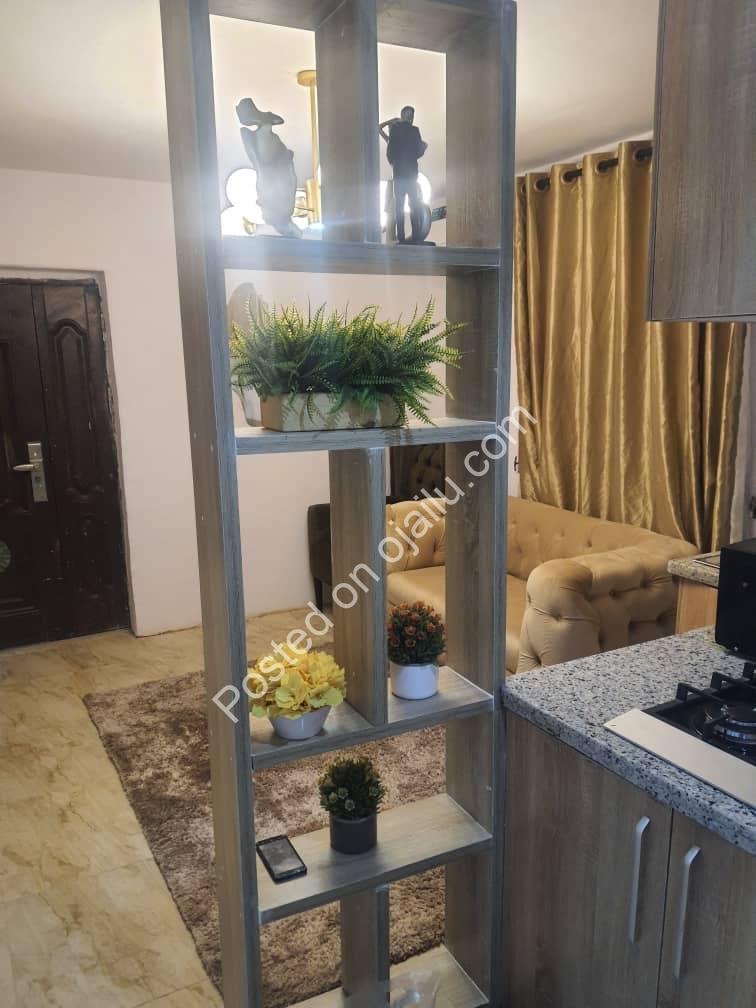Elegant 2-Bed Surulere Gem