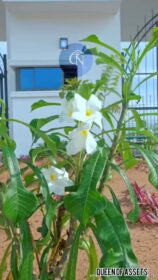 GbQi7sx6kkvaM3LP PWhzZVm4e277OvmcGDTk=