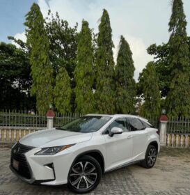 Imported Luxury: 2016 Lexus RX350 at N41M