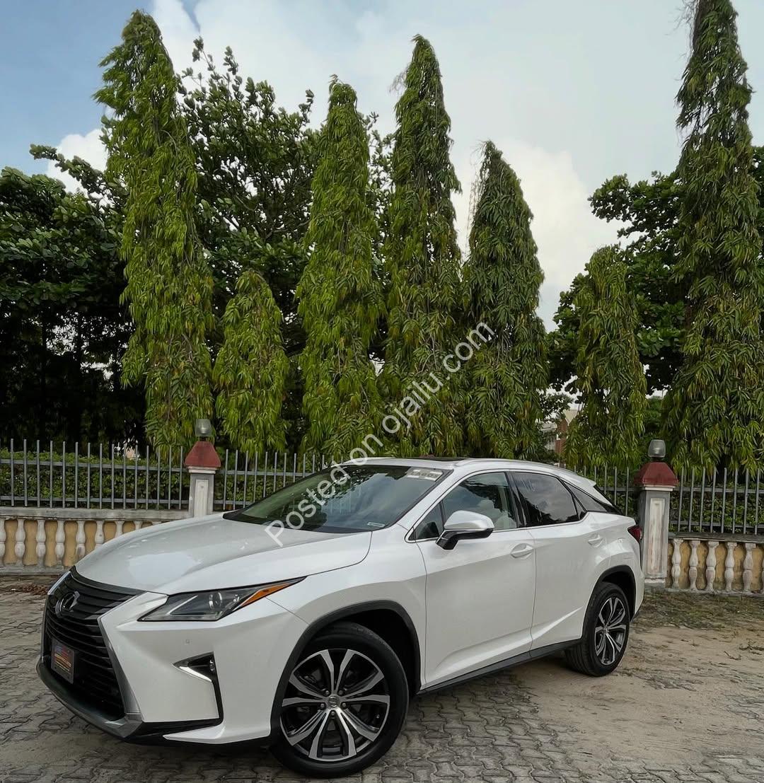 Imported Luxury: 2016 Lexus RX350 at N41M