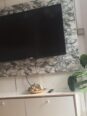 Elegant 2-Bed Surulere Gem