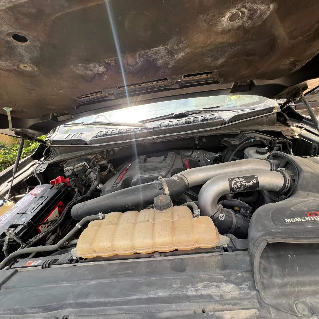 Built for Power, Made to Dominate – Unmatched Raptor