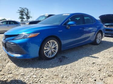 2020 Toyota Camry XLE: Premium Luxury