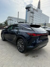 Luxury Lexus RX350: Dealer-Priced 10/10