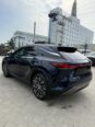 Luxury Lexus RX350: Dealer-Priced 10/10, Nothing to Fix