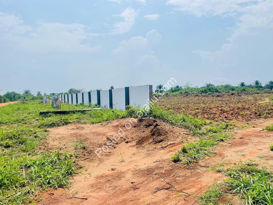 ₦2M All-Inclusive Plot + Free Plot Offer!