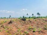 ₦2M All-Inclusive Plot + Free Plot Offer!