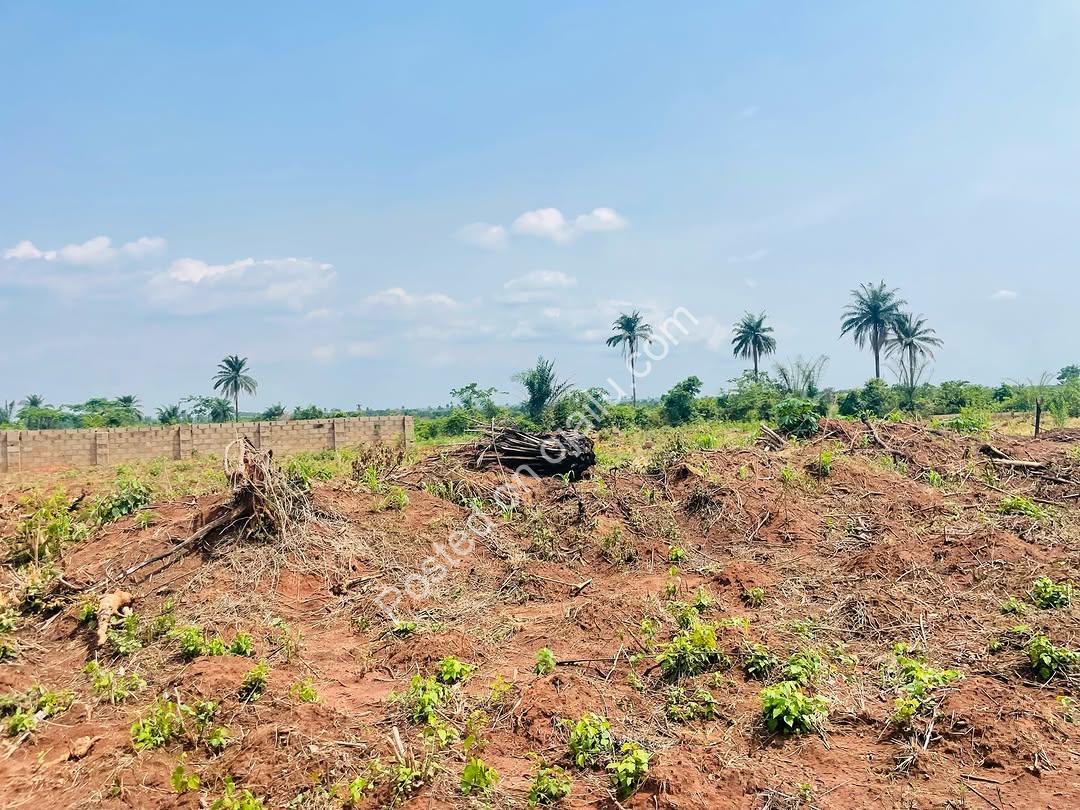 ₦2M All-Inclusive Plot + Free Plot Offer!