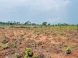 ₦2M All-Inclusive Plot + Free Plot Offer!