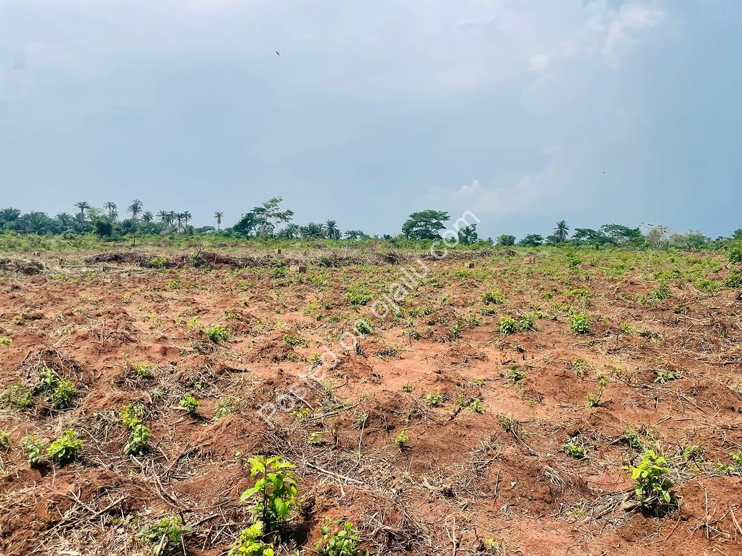 ₦2M All-Inclusive Plot + Free Plot Offer!