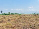 ₦2M All-Inclusive Plot + Free Plot Offer!