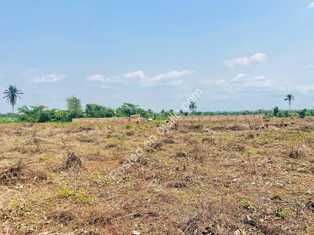 ₦2M All-Inclusive Plot + Free Plot Offer!