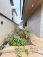 Ikoyi’s Ultimate Entertainer: 6-Bedroom Duplex with Cinema & Rooftop