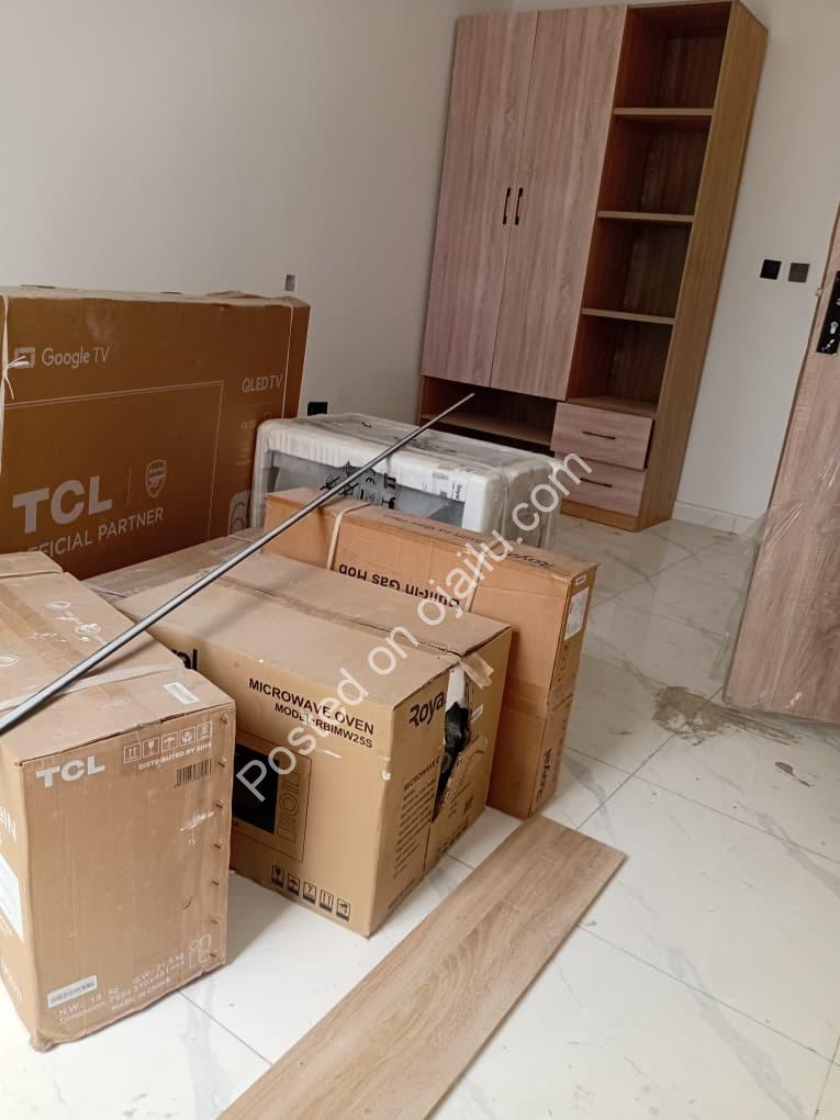 Premier 2-Bed Flat in Salem, Lekki – Fully Furnished!