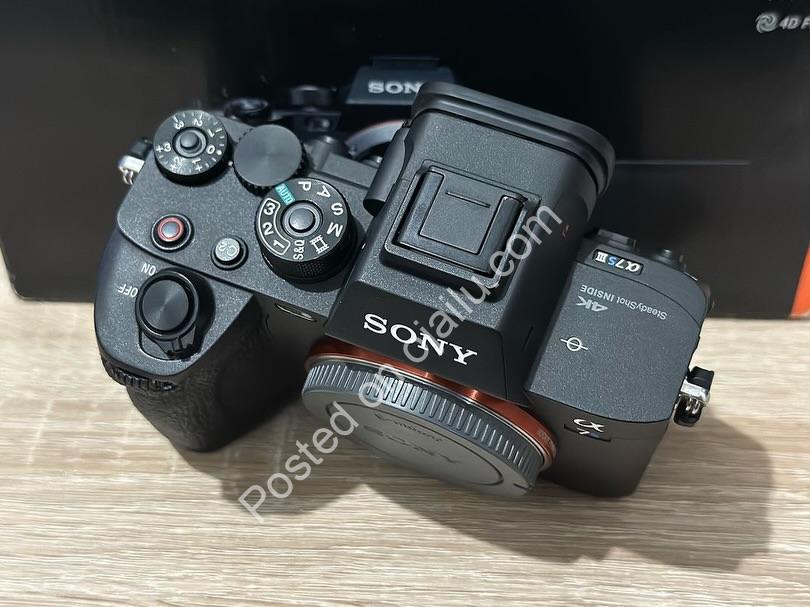 Sony A7sIII: Pure Low-Light Excellence
