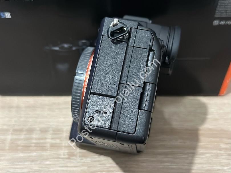 Sony A7sIII: Pure Low-Light Excellence