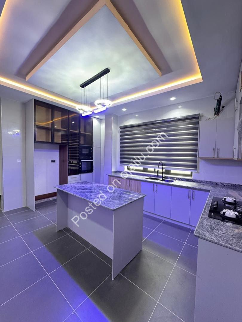 Brand New 4BR Terrace Duplex + BQ in OGUDU GRA