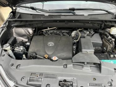 2019 Toyota Highlander: Mint