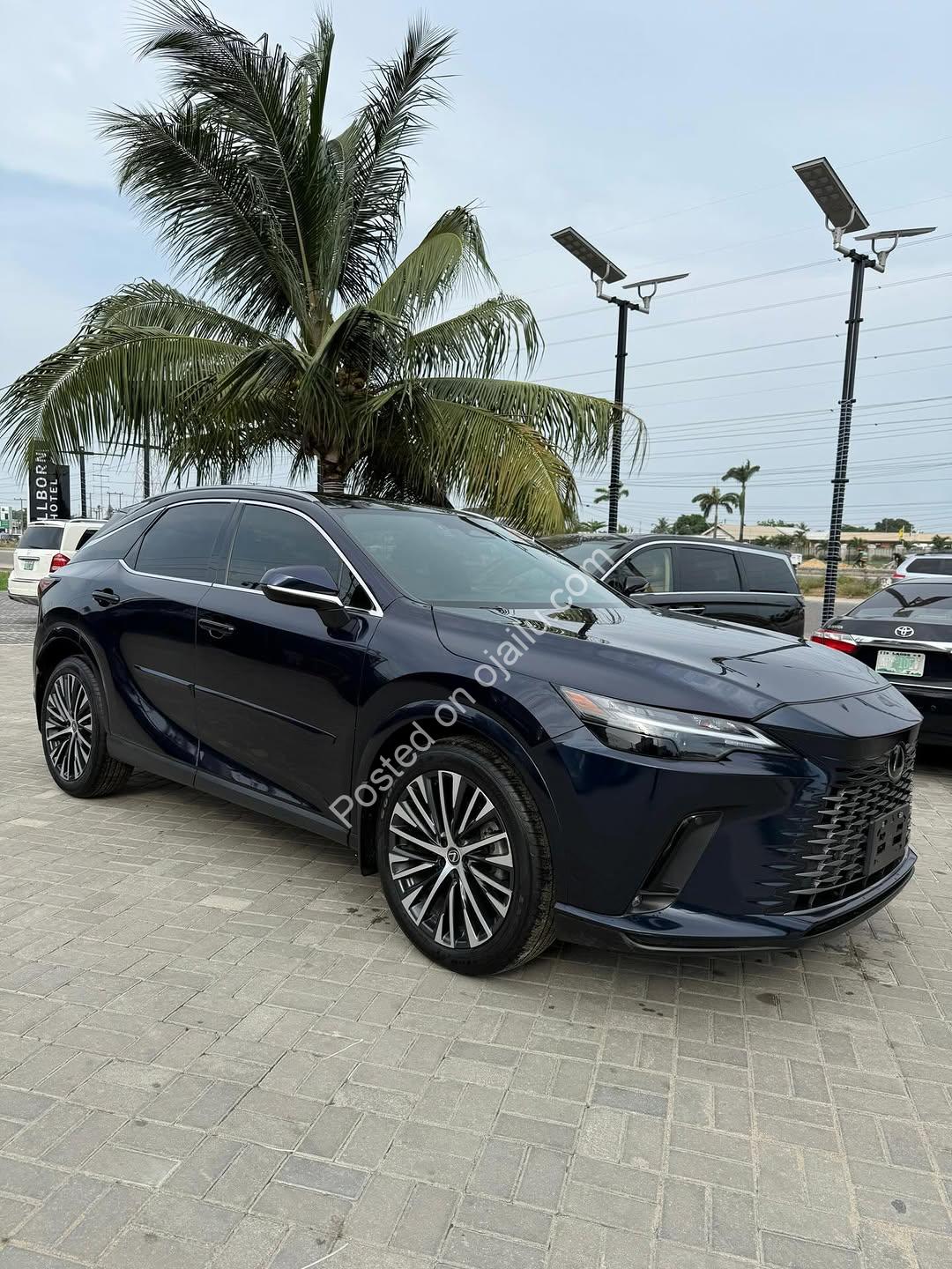 Luxury Lexus RX350: Dealer-Priced 10/10, Nothing to Fix