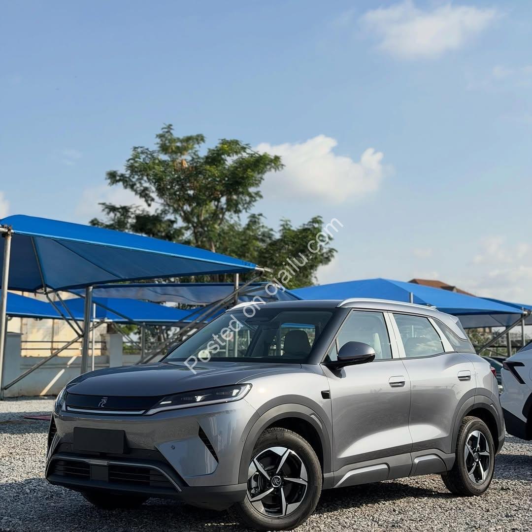 2025 BYD: Drive the Future Now – ₦49.5M