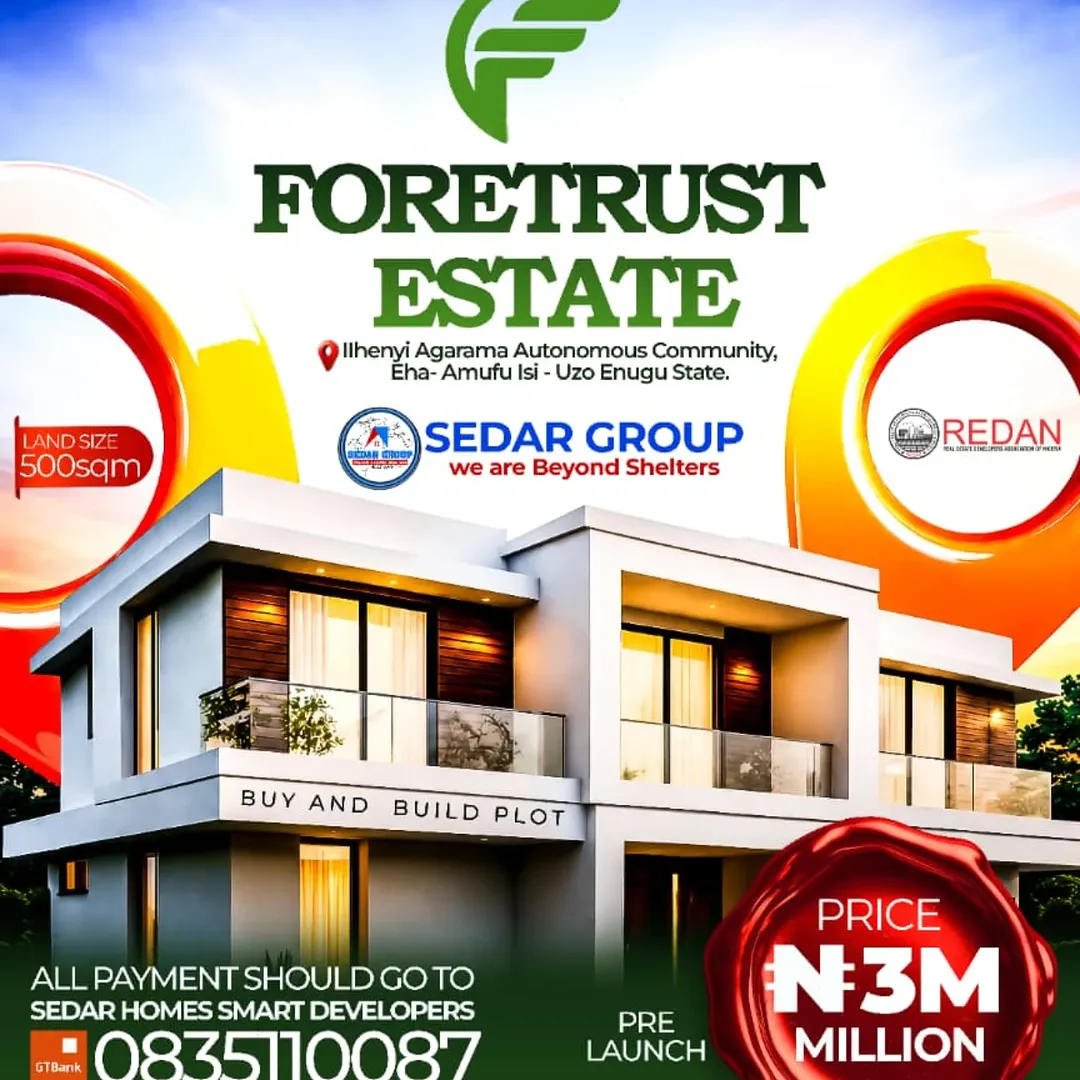 Secure Your Future: ₦3M 500sqm Plot in Eha-Amufu