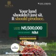 Your Land Works for You: Earn While It Appreciates