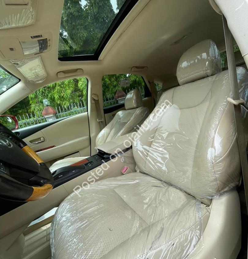 Elite Lexus RX350 2010 — Sunroof, Camera, Perfect Deal!