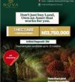 Own the Land That Pays You Dividends