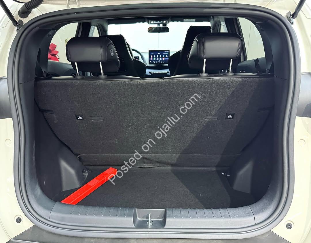 BYD Seagull 2024: 305KM Range, Perfect Condition, Delivered to Your Door