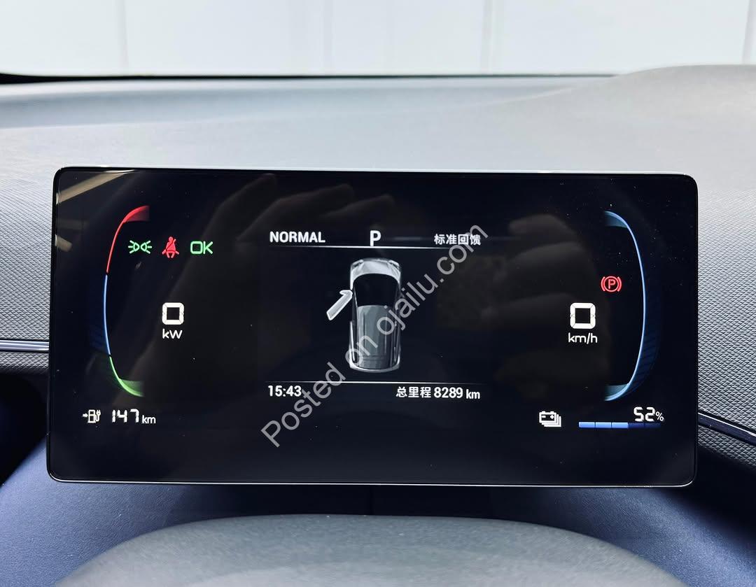 BYD Seagull 2024: 305KM Range, Perfect Condition, Delivered to Your Door