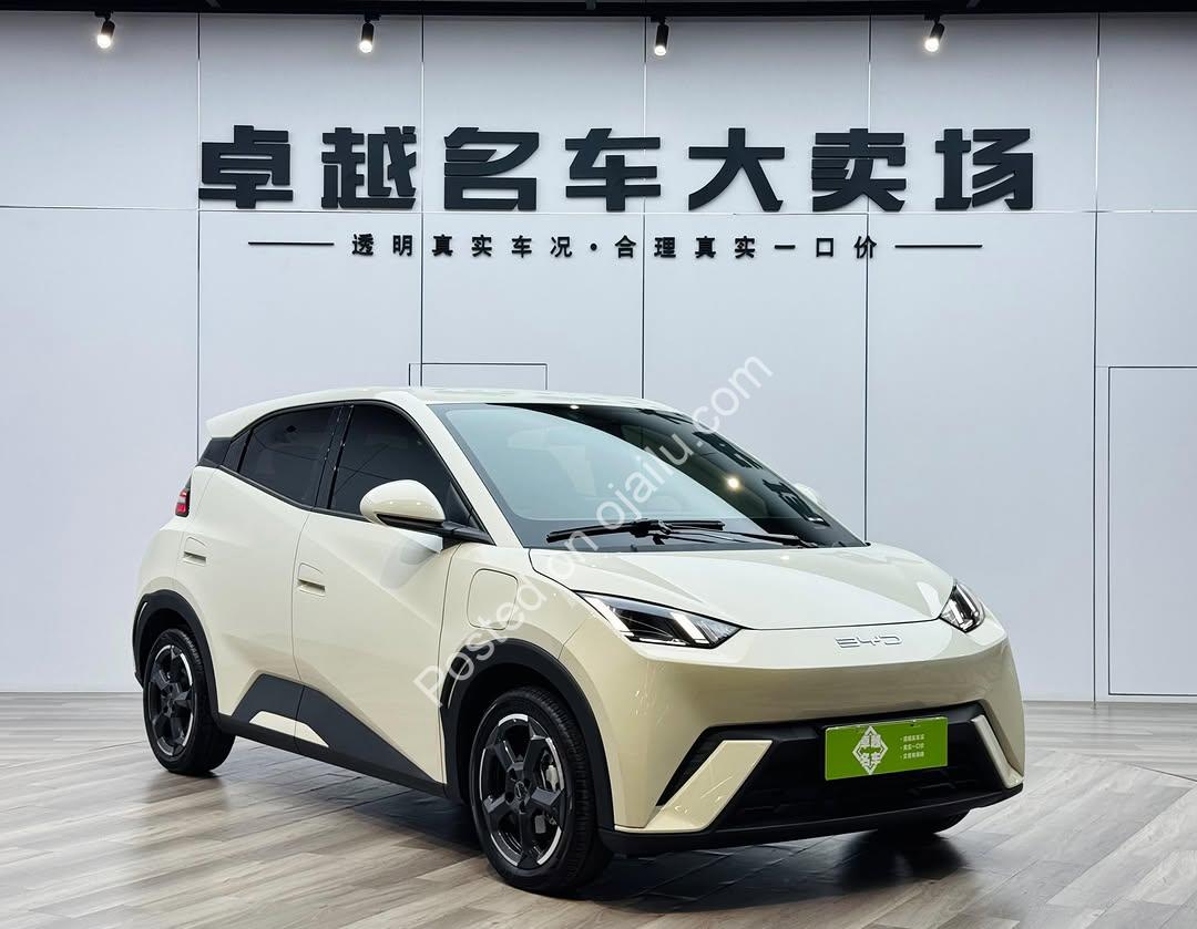 BYD Seagull 2024: 305KM Range, Perfect Condition, Delivered to Your Door