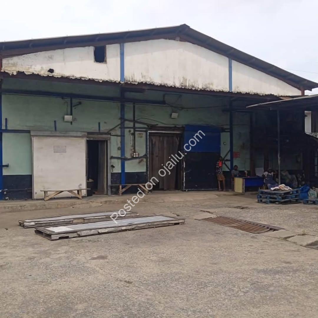 Chill-Proof Investment: Cold Room Warehouse in Mile 12