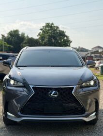 2017 Lexus NX200T: Genuine Duty
