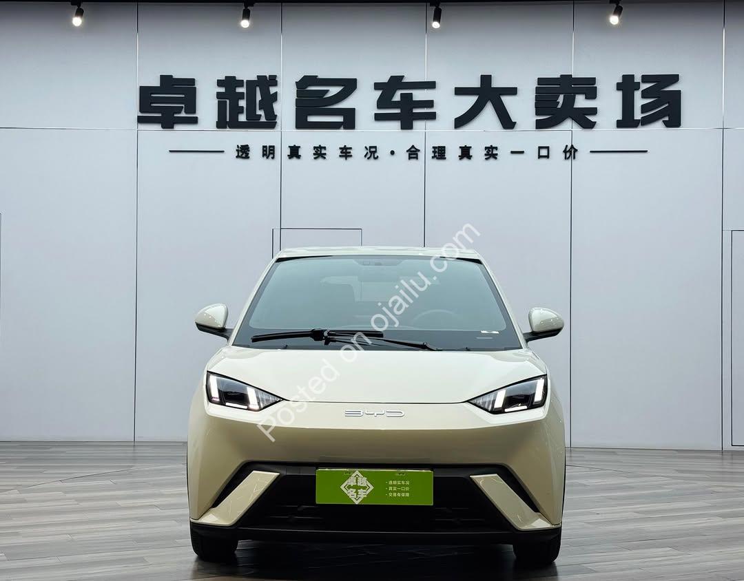 BYD Seagull 2024: 305KM Range, Perfect Condition, Delivered to Your Door