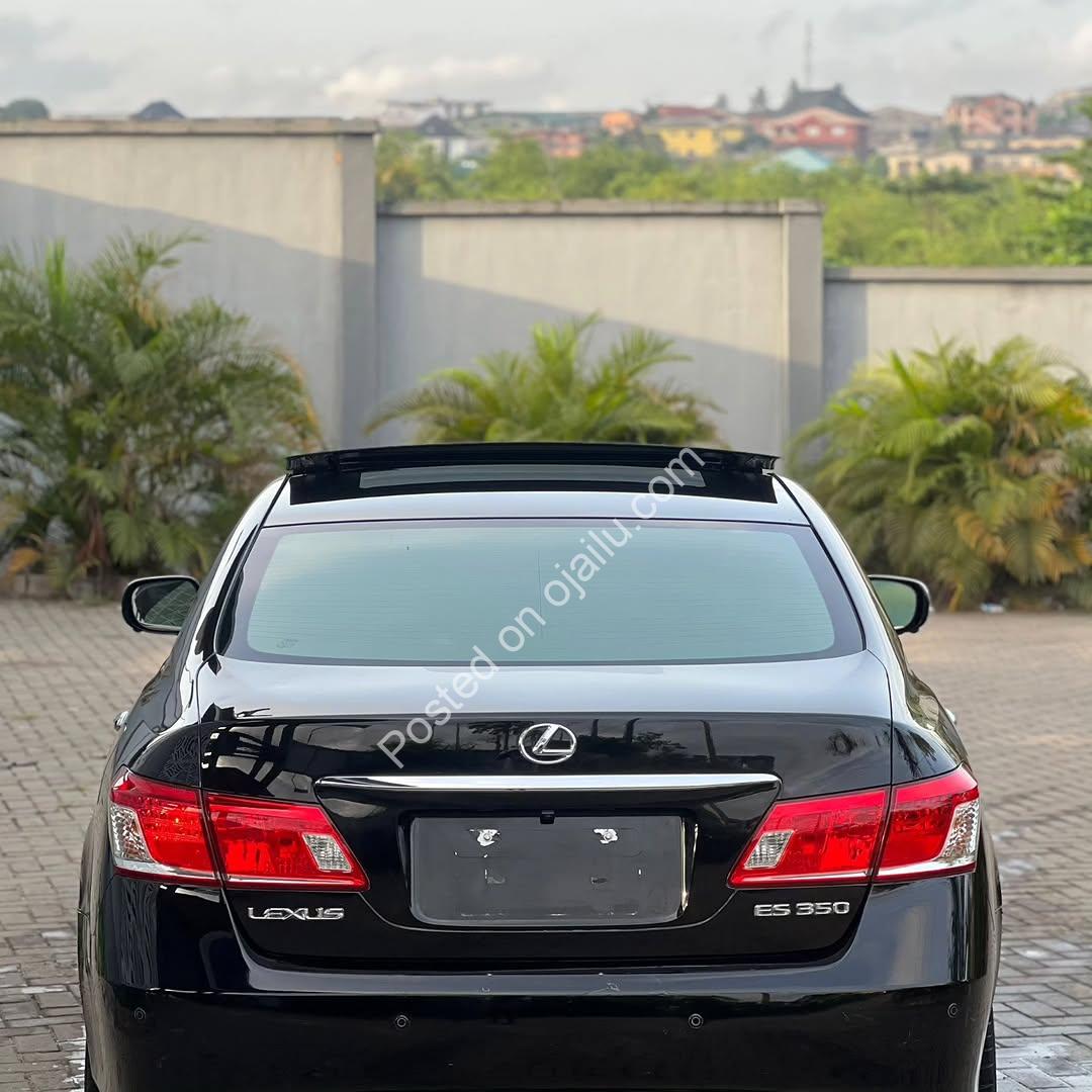 Experience Lexus Luxury: 360° Camera, Panoramic Roof & HUD