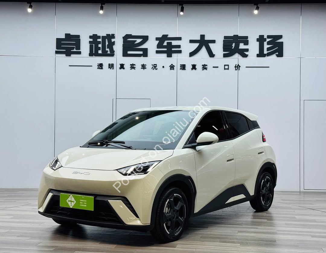 BYD Seagull 2024: 305KM Range, Perfect Condition, Delivered to Your Door
