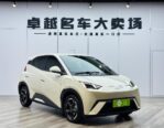 BYD Seagull 2024: 305KM Range, Perfect Condition, Delivered to Your Door