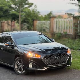 Sporty 2019 Sonata: Low Miles