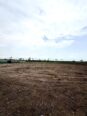 Own Tomorrow Today: Prime Land from ₦6M