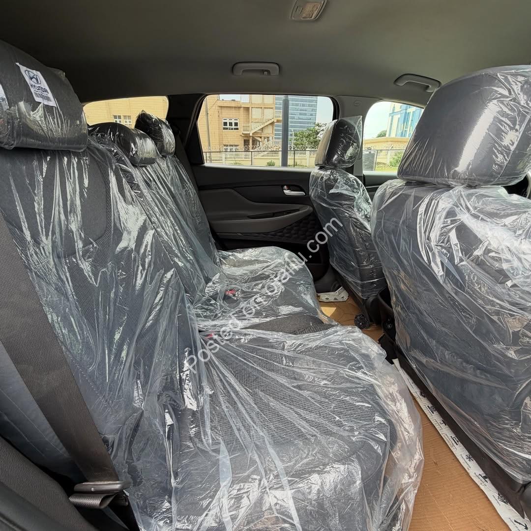 2019 Hyundai Santa Fe: Luxury & Performance, ₦28.5M