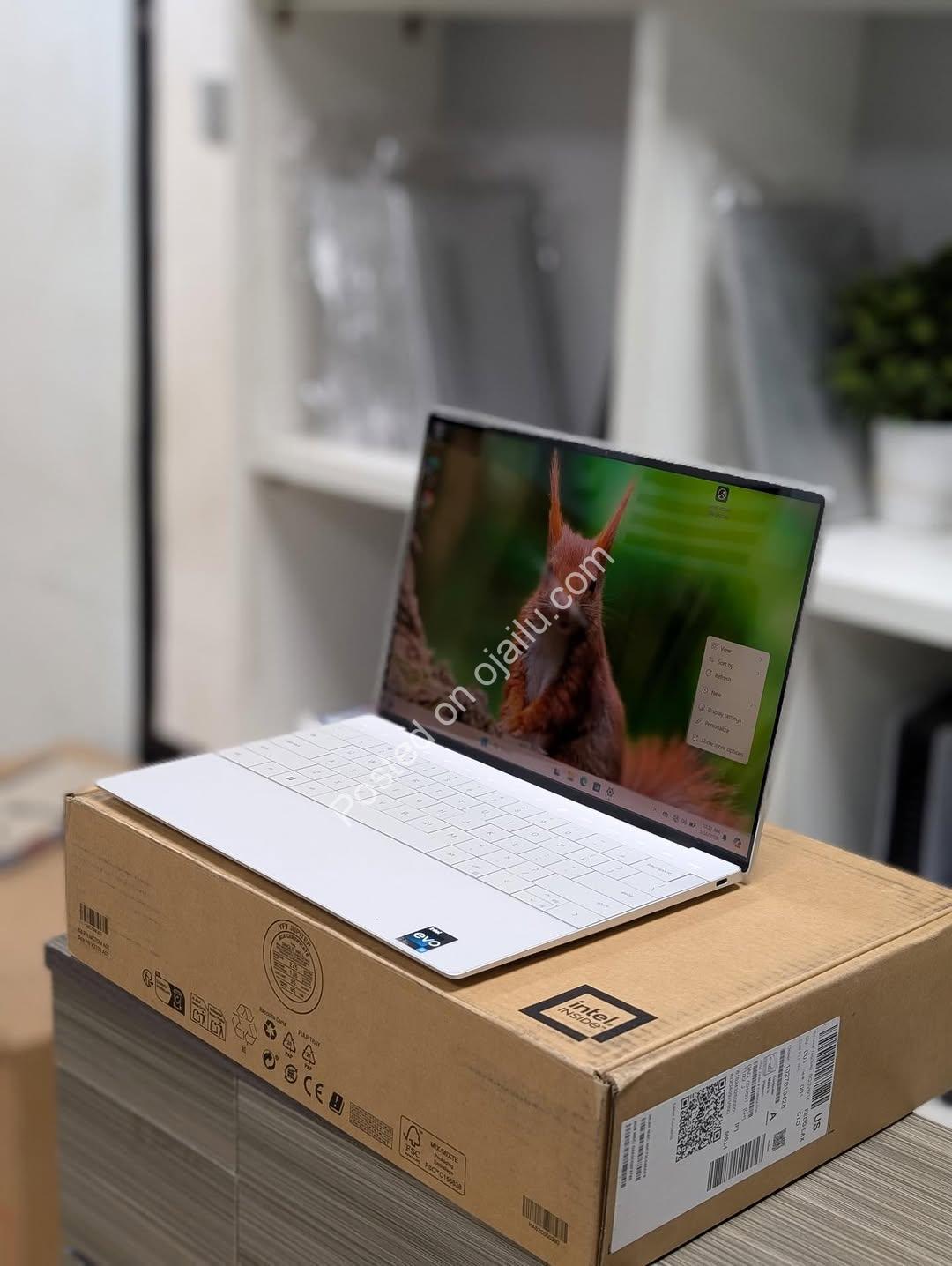 Premium Dell XPS 13 Plus – Ultraportable Powerhouse