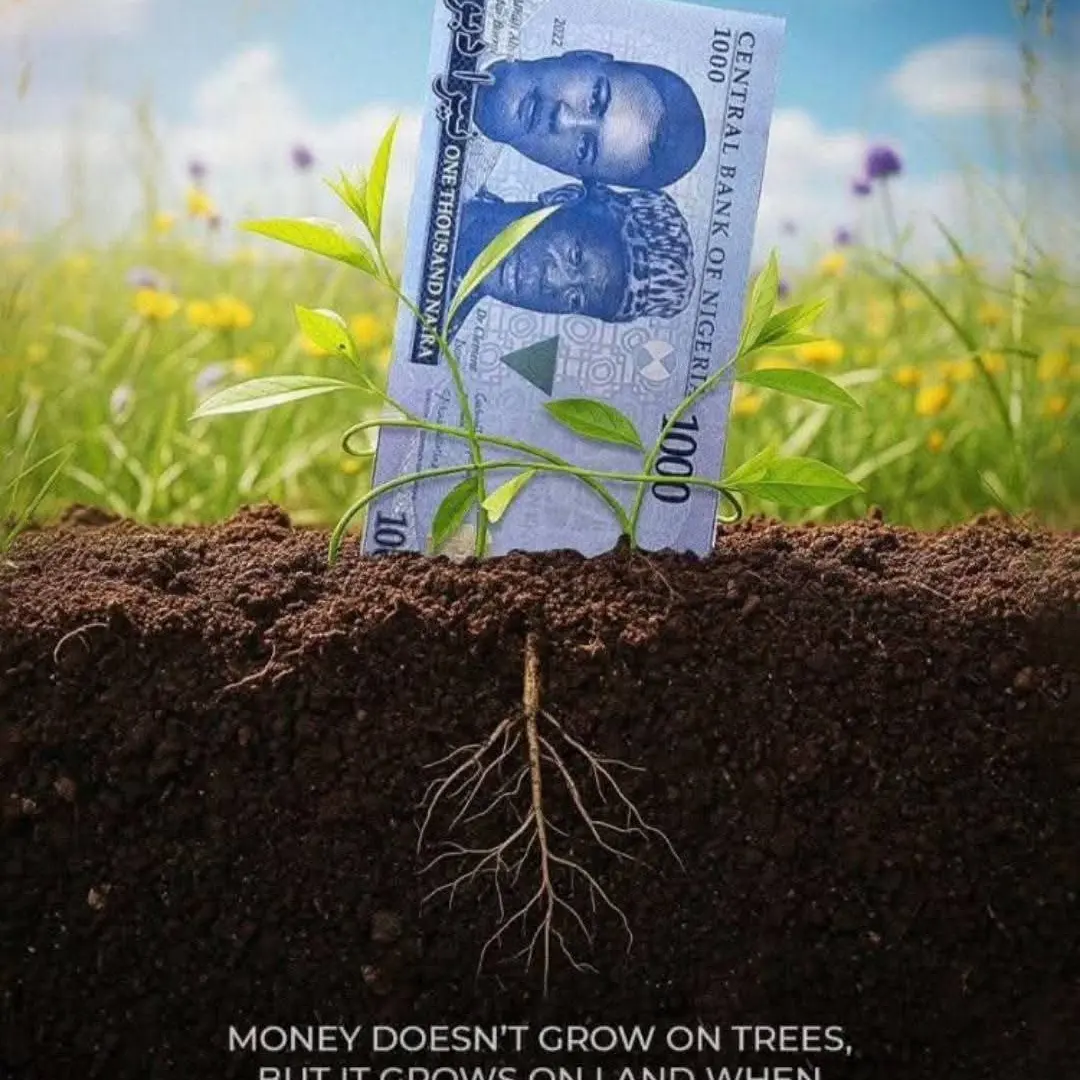 From ₦5M to ₦30M: Plant Your Money Where It Grows